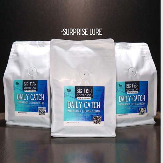 Daily Catch Medium | Espresso 3-pack +lure